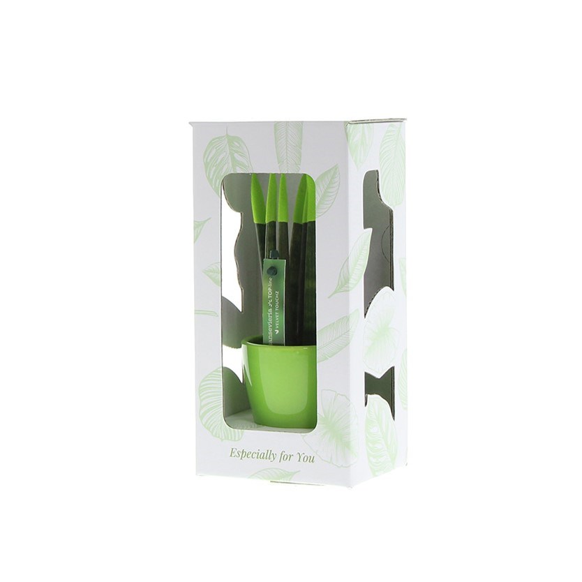 Sansevieria TOP-line - Velvet Touchz® small, Ohne Verpackung, Weiß